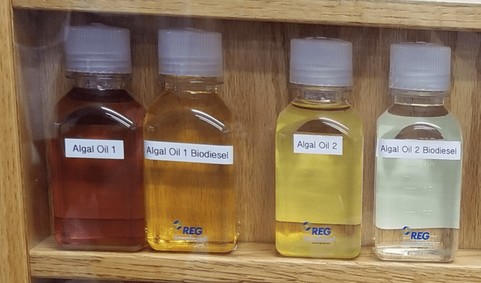 Two diverse samples of crude algal oil were obtained from Solazyme, Inc.