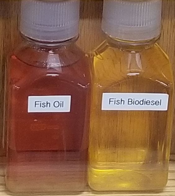 Fish Oil and the Fish Bio-Diesel that it produces