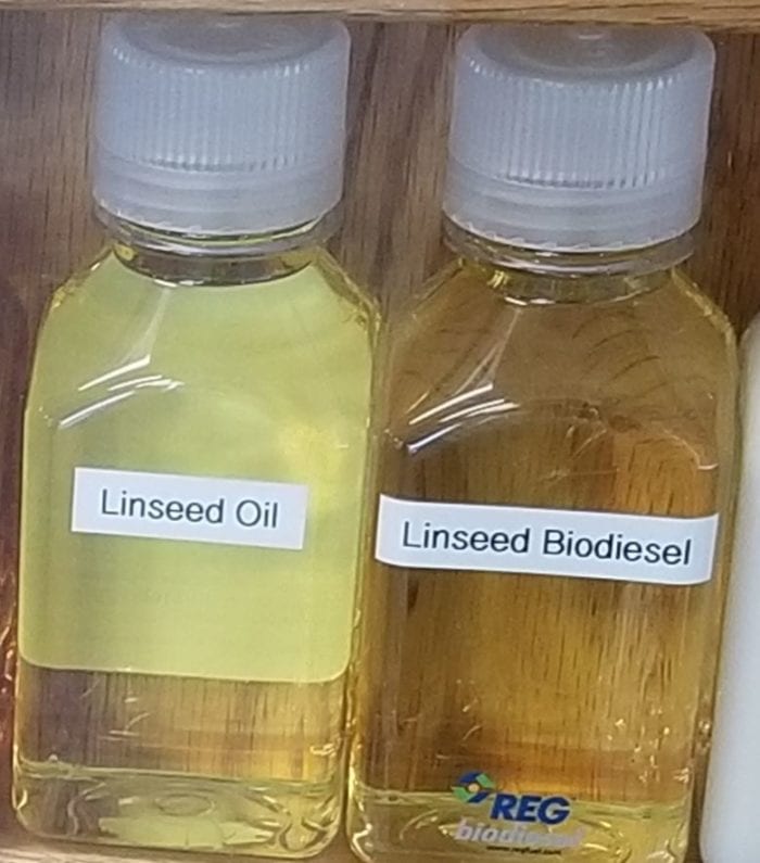 Linseed Oil and Linseed biodiesel