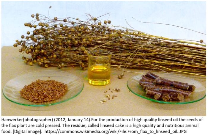 Linseed Oil and Seeds