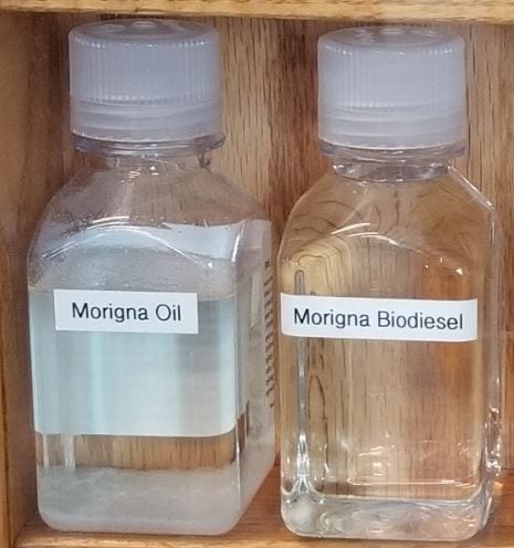 Morigna Oil and Morigna Biodiesel