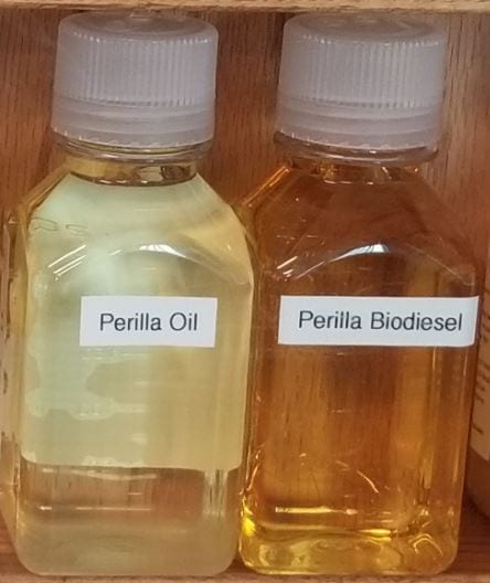 Perilla Oil and Perilla Biodiesel