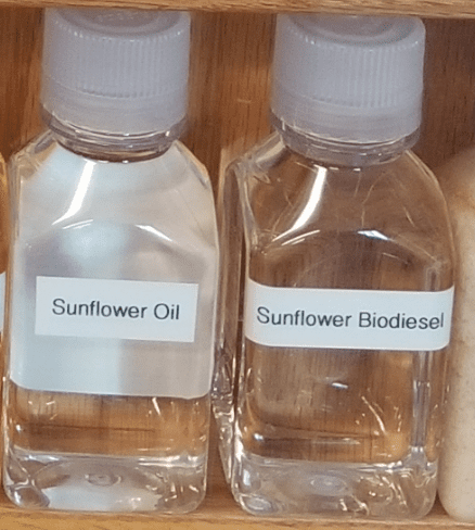 Sunflower Oil and Sunflower biodiesel 