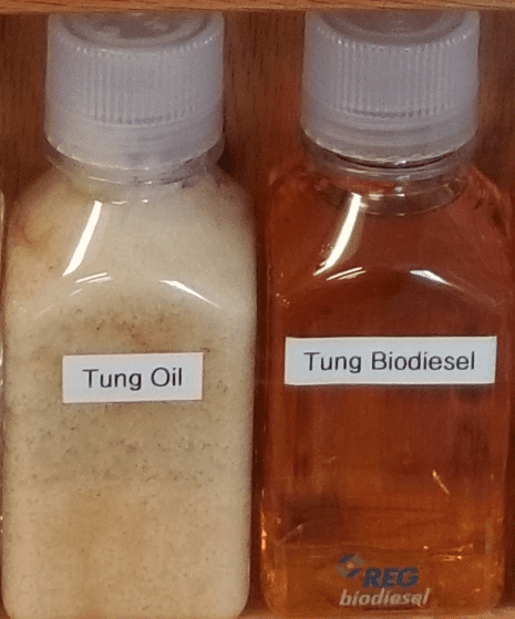 Tung Oil and Tung Biodiesel